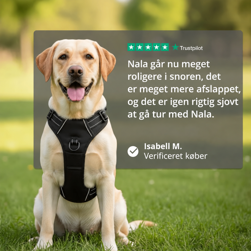 EASYTUR™ ANTI-TRÆK SELE